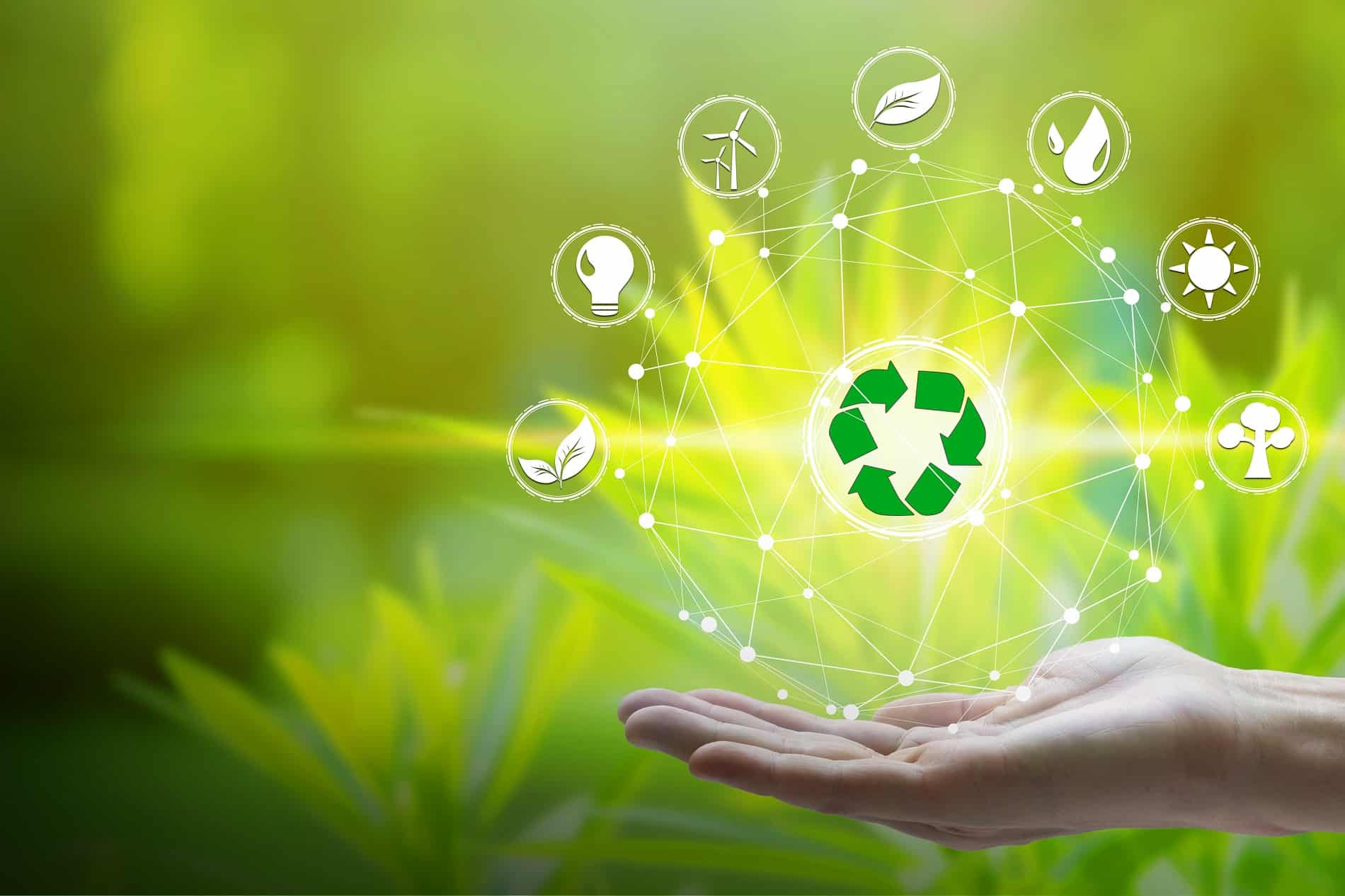 Economía circular en el agro: cómo aprovechar residuos agrícolas para generar bioenergía o fertilizantes orgánicos