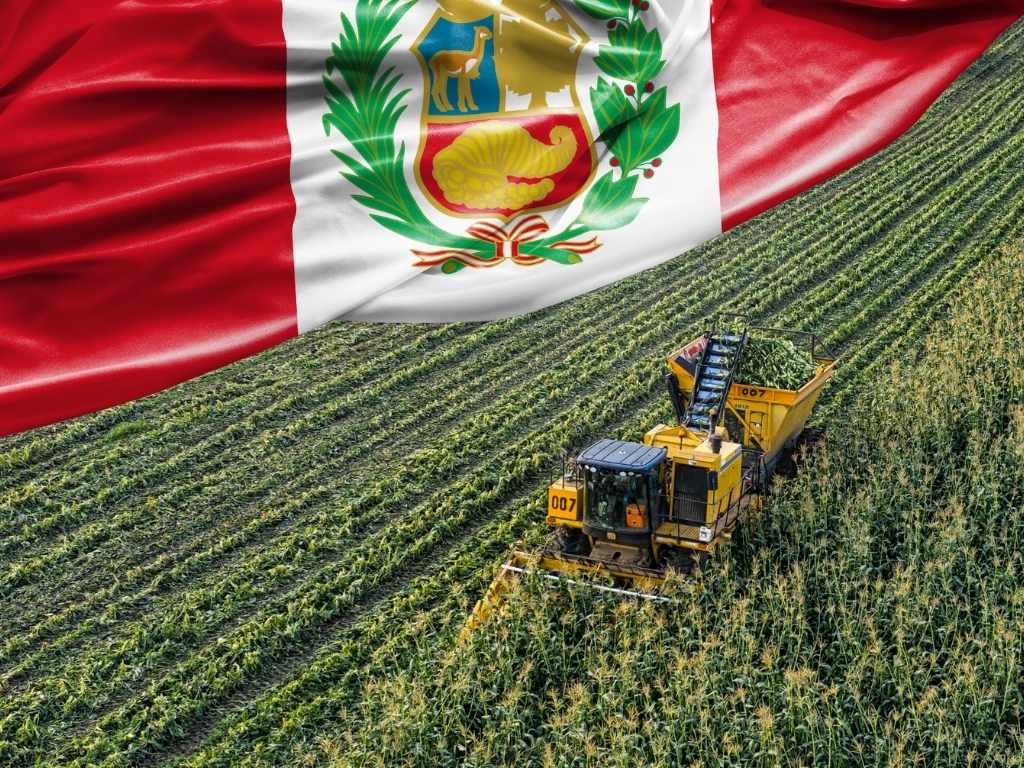 Negocios emergentes en agroindustria peruana: procesados, empaques y valor agregado