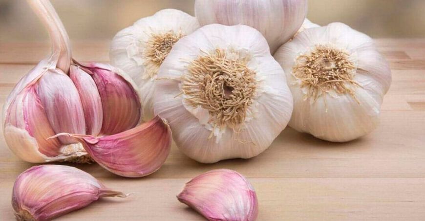 El Ajo Peruano: Tradición, Variedades y Exportación