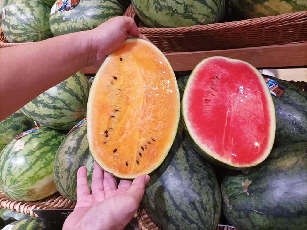 Sandía naranja: ciencia, sabor y una oportunidad premium en la agroindustria latinoamericana