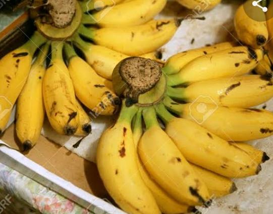 Plátanos de Isla: calidad, sabor y nutrición desde Lima