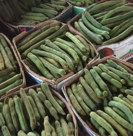 Pacay de Lima: Dulzura Natural y Producción Ecoamigable Todo el Año