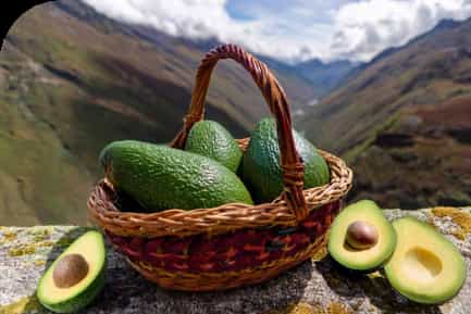 La palta Fuerte de Huachupampa: tradición, calidad y sostenibilidad desde Lima