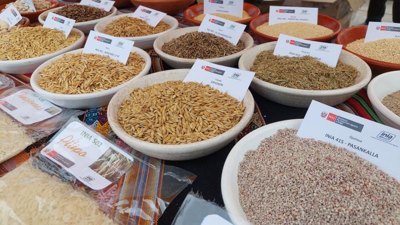 Semillas certificadas: mejores proveedores y precios actualizados