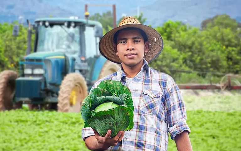 Préstamos para agricultores: bancos y financieras que ofrecen crédito agrícola en Perú
