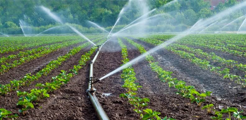 Sistemas de riego para agricultura: precios, tipos y cuál conviene