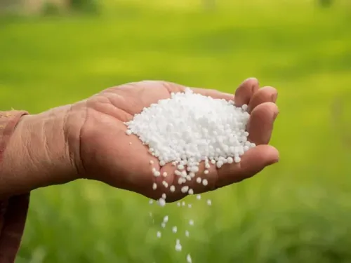 Urea agrícola: precio por saco, dónde comprar y cuánto aplicar por hectárea